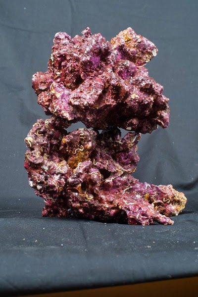 Real-Reef-product-large